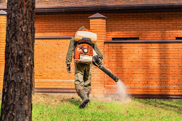 Bed Bug Clearance Verification and Documentation in Kyle